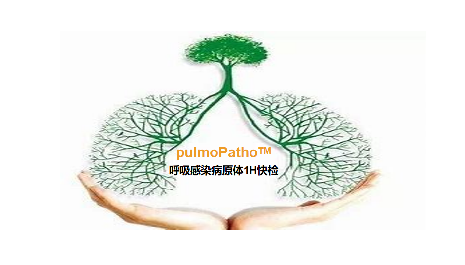 pulmoPatho，呼吸感染病原谱