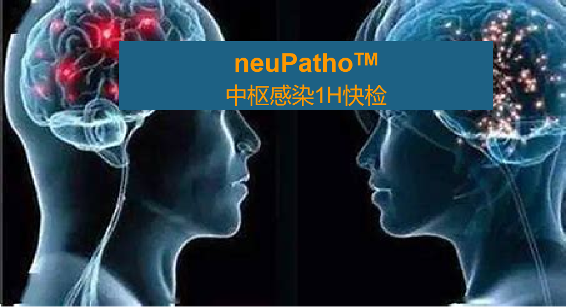 neuPatho，中枢感染病原谱