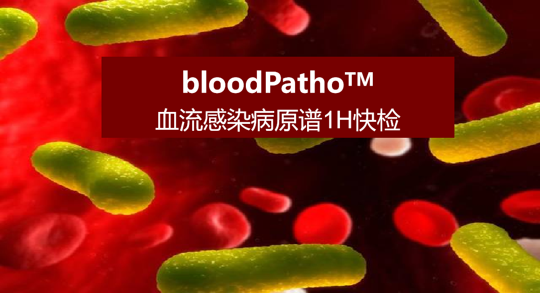 bloodPatho，血流感染病原谱