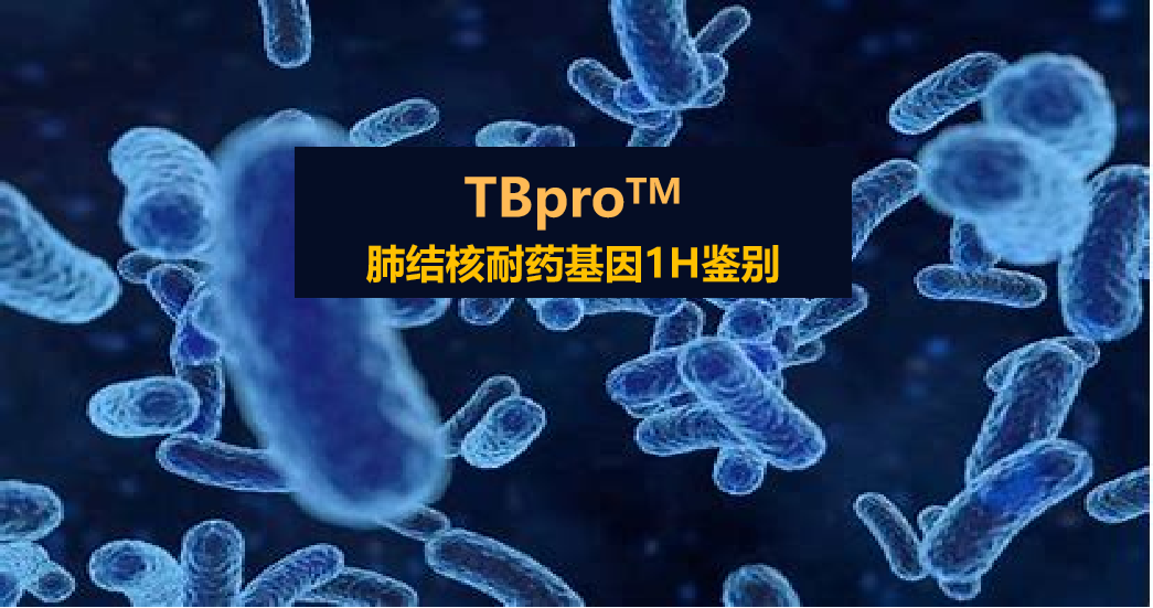 TBpro，结核菌耐药谱