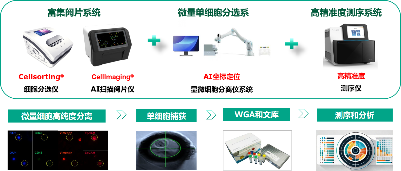 1742951786930786.png image.png